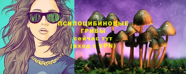apvp Алексеевка