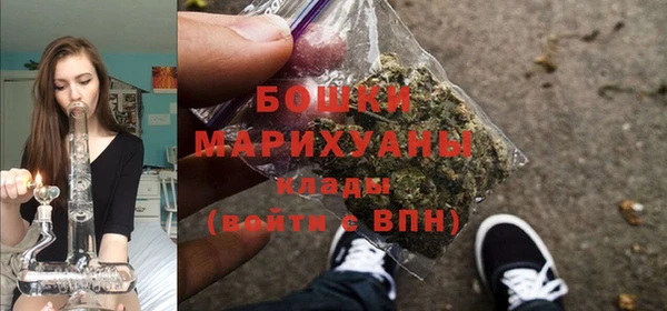 MESCALINE Гусь-Хрустальный