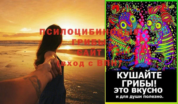 гашик Алзамай